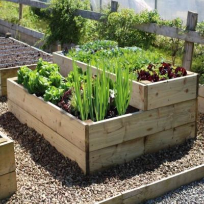 raised vegetable garden