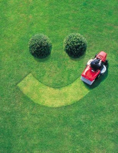 Lawn and Landscape Tips